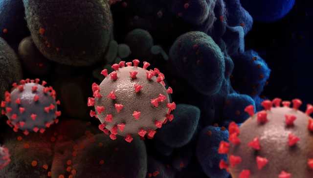 В Украине свыше 26,4 тыс. новых случаев COVID-19 за сутки, умерли 696 человек