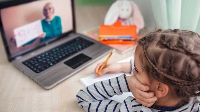 В Луцке ученикам нескольких школ во время онлайн-обучения показывали порно