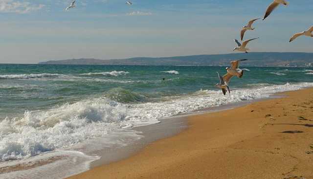 На пляж в Крыму вымыло человеческие скелеты
