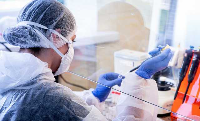 Крым побил рекорд по количеству случаев коронавируса