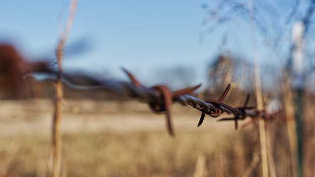 Эстония вводит временный запрет на полеты у российской границы