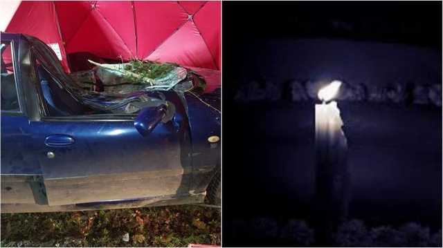 Ехал в авто: из-за сильного ветра в Польше погиб 35-летний мужчина