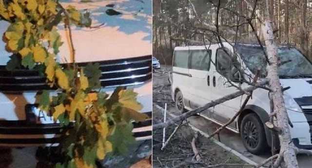 В Киеве из-за штормового ветра начался деревопад: разбиты авто в разных районах
