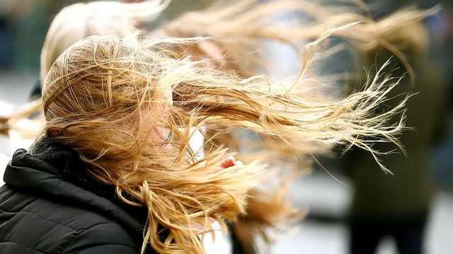 Ветер не успокоится: в Киеве объявили еще одно штормовое предупреждение