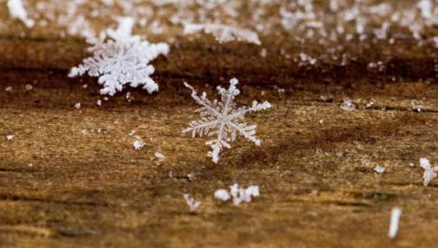 В Киеве пошел первый снег