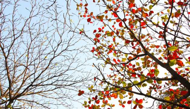 В Украину придет потепление: прогноз погоды на завтра