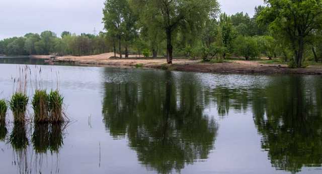 В Киеве в озеро попало неизвестное вещество, на воде расплылось огромное пятно