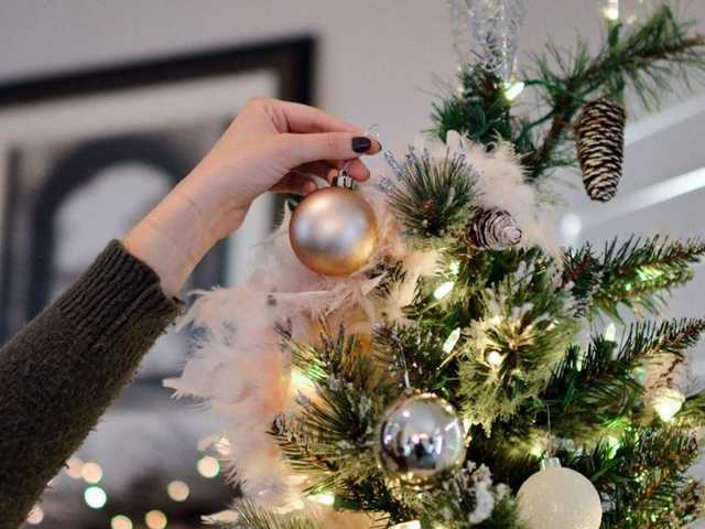 В Украине начали продавать первые новогодние елки