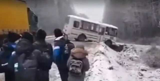 Под Житомиром школьный автобус слетел с дороги в кювет