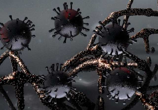 В ВОЗ назвали вероятную причину появления зловещего штамма Омикрон