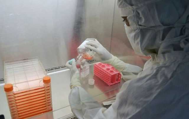 Во Львове молодые ученые разработали уникальное средство против ковида