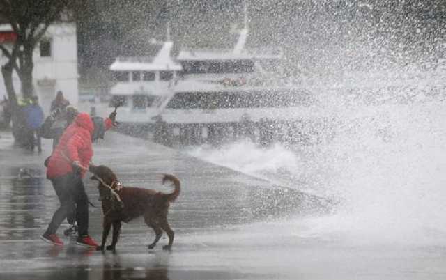 На Стамбул обрушился сильный ураган, погибли четыре человека