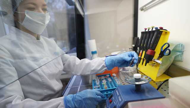 Ученым понадобится три недели, чтобы изучить штамм "Омикрон"