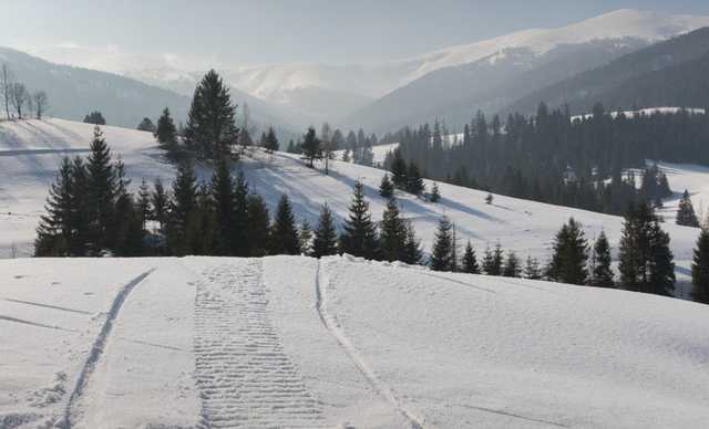 В Карпатах ожидаются лавины