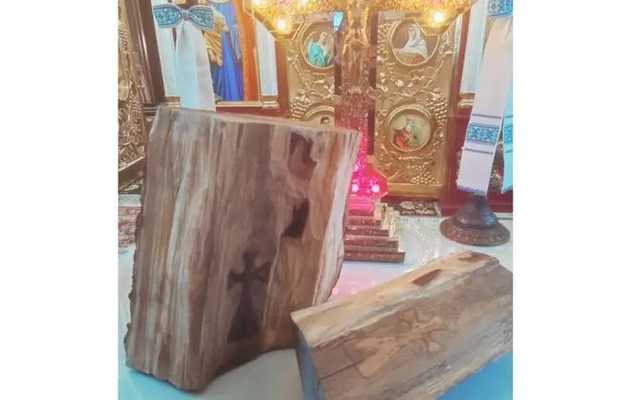 В Тернопольской области при срубе старого дерева внутри увидели изображение двух крестов