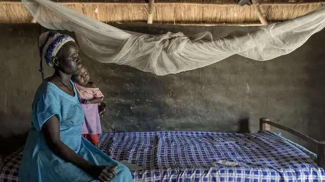 Заболеваемость и смертность от малярии начала расти во время пандемии коронавируса