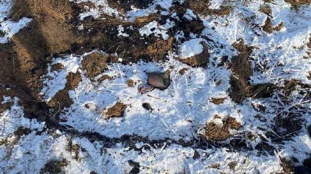 Под Киевом жестоко убили и расчленили 23-летнюю мать малыша