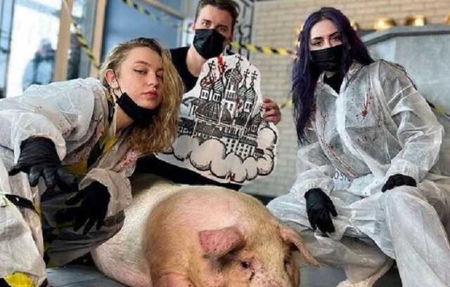 В громкое дело с "татуированной" свиньей вмешалась полиция