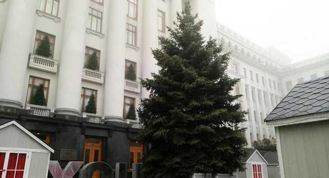 Возле Офиса Президента установили новогоднюю елку