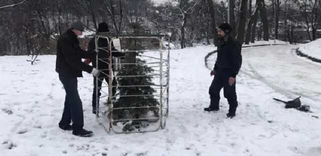 Перед новогодними праздниками во львовском парке хвойные деревья закрыли решетками