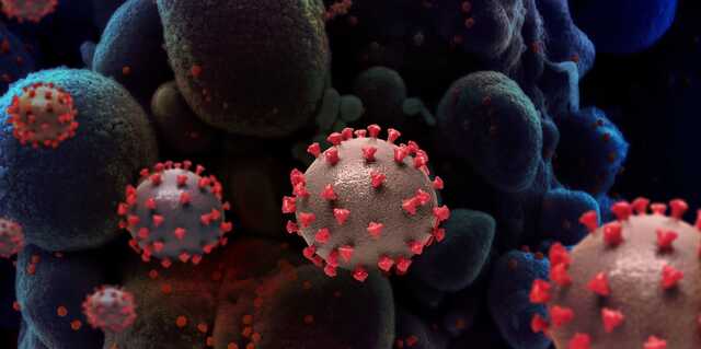 В Украине свыше 8 тыс. новых случаев COVID-19 за сутки, умерли 356 человек