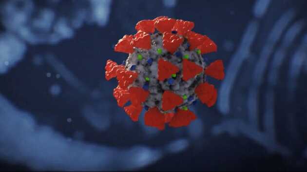 Штамм "Омикрон" уже в Польше