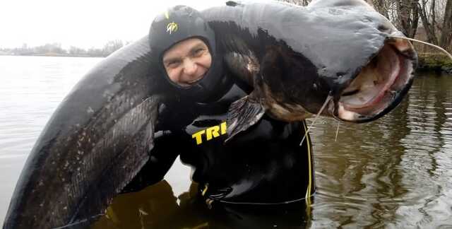 Рыбак выловил в Днепре "сома-людоеда" весом 50 килограмм