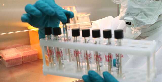 Великоритания три дня подряд обновляет антирекорды по коронавирусу