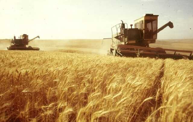 Украина собрала рекордный за годы независимости урожай зерновых - министр