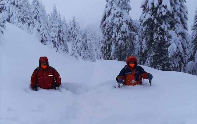 Снегопад и метель: в Карпатах объявлено штормовое предупреждение