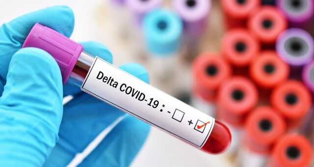 В Україні зафіксували новий варіант штаму "Дельта" – НАН