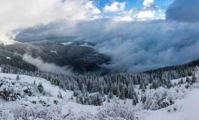Спасатели предупредили о сходе лавин в Карпатах