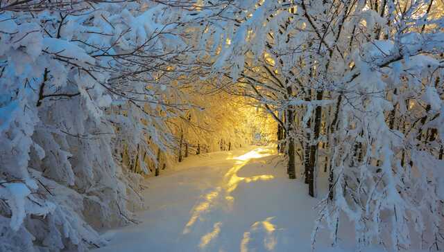У Чернігові зафіксовано надзвичайно рідкісне погодне явище