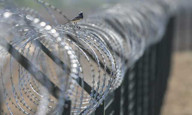 Луганщина відгородилася від Росії 100-кілометровим парканом