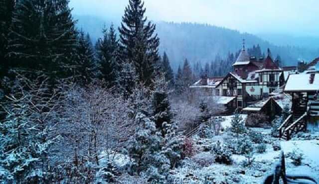 Польша обнародовала исторические фото, как отдыхали в украинских Карпатах в 1938 году