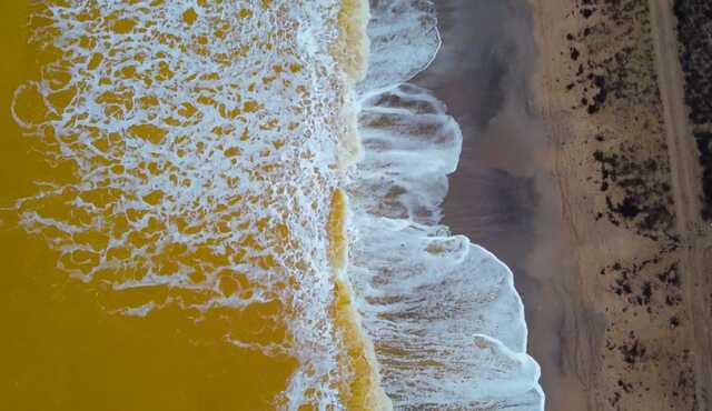 В Сети появились редкие кадры пожелтевшего Черного моря