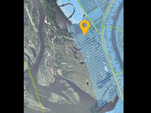 В Киевской области мошенники с поддельными решением суда украли 68 га земли