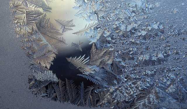 В Днепре полуголые мужчины прогулялись улицами в 10-градусный мороз