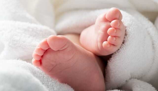 В Чехии за год родилось более 1,2 тыс. граждан Украины, - посол Перебийнис