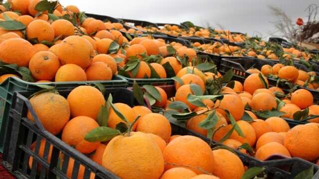 На Херсонщине украли грузовик с мандаринами и апельсинами на 10 тыс. грн