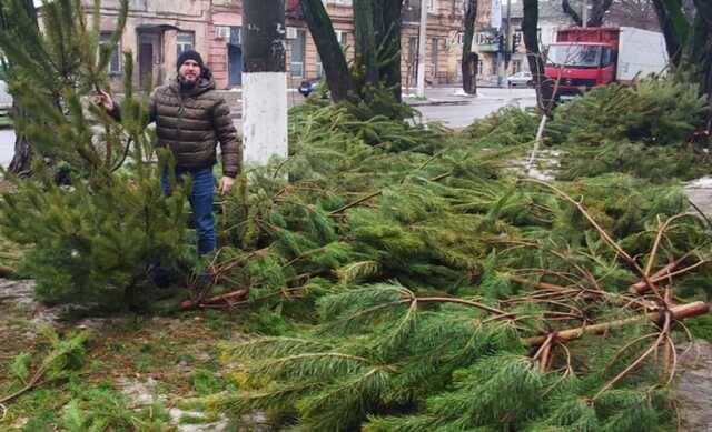 Продавцы елок в Одессе снова бросили свой товар прямо на улице