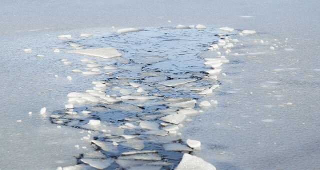 Хотели посмотреть на птиц: в России несколько десятков человек внезапно провалились под лед