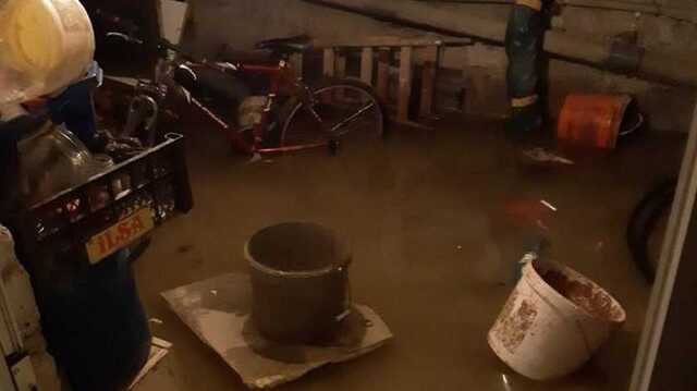 На Закарпатье сошли 2 селевых потока, подтопило ряд зданий