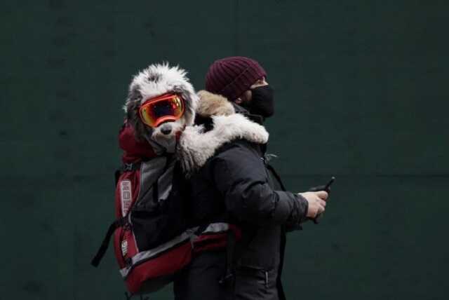 Коронавірусною інфекцією у світі захворіло майже 260 млн людей