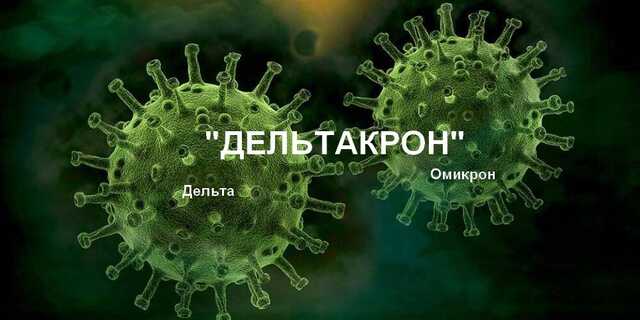 «Дельтакрон» не является комбинацией вирусов — ВОЗ