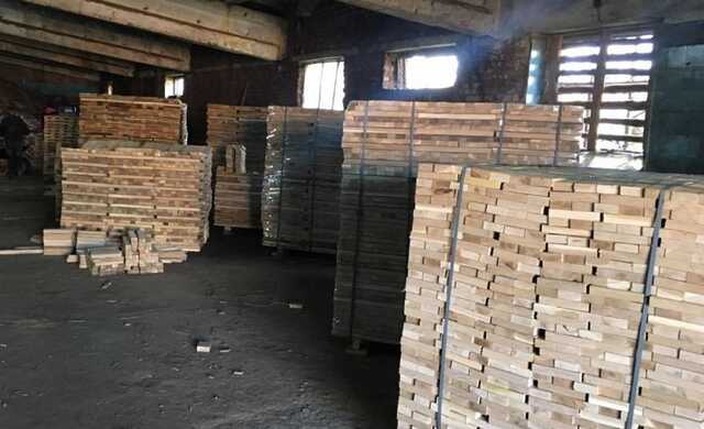 В Житомирской области депутат занимался незаконным лесным промыслом