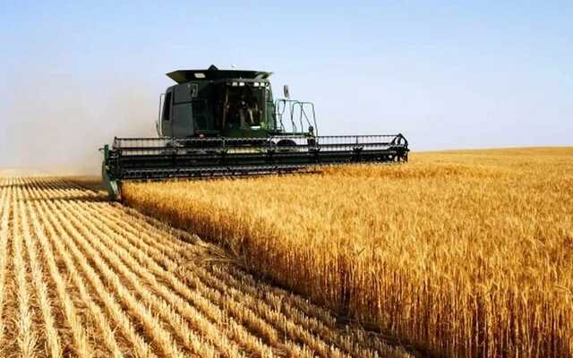 Украина - в пятерке стран, экспортирующих больше всего агропродовольственных товаров в ЕС