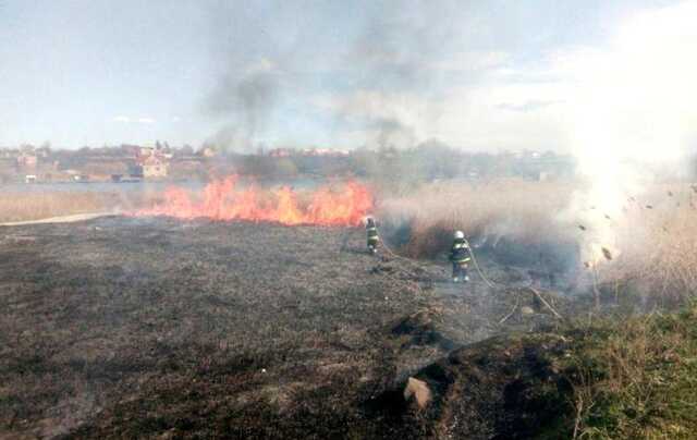 В Одесской области горит национальный парк