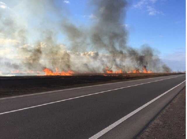 В Украине нацпарк охватило огнем: фото и видео масштабного пожара