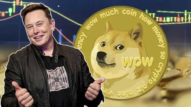 Tesla          Dogecoin